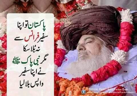 M Naeem Anwar tweet media