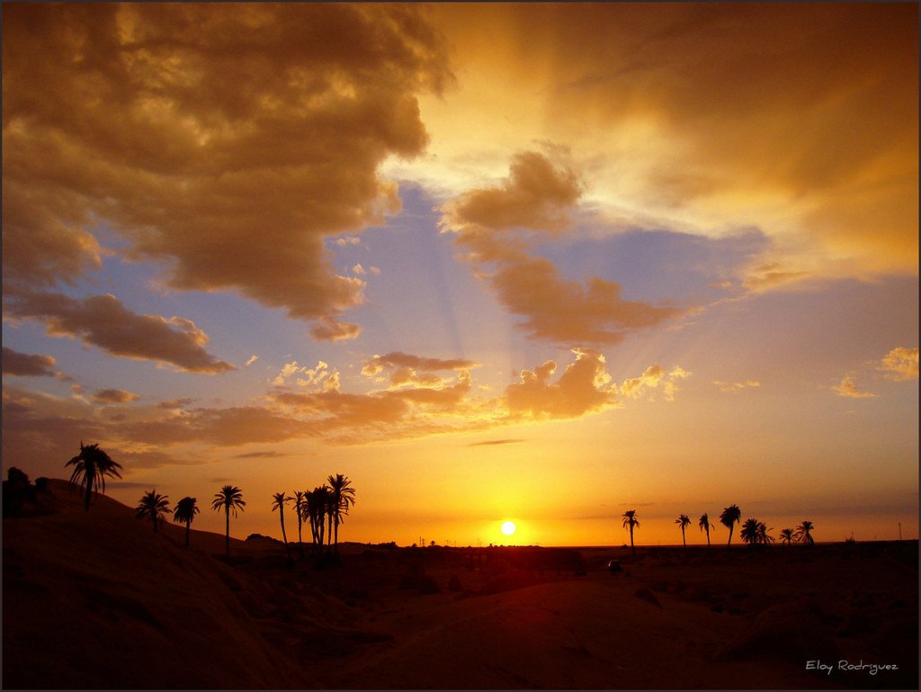 Lackeith's tweet image. To be fair conditioning, obstructs our view of reality......we do not see it in its suchness, because of our indoctrinated, crooked and twisted minds.☕