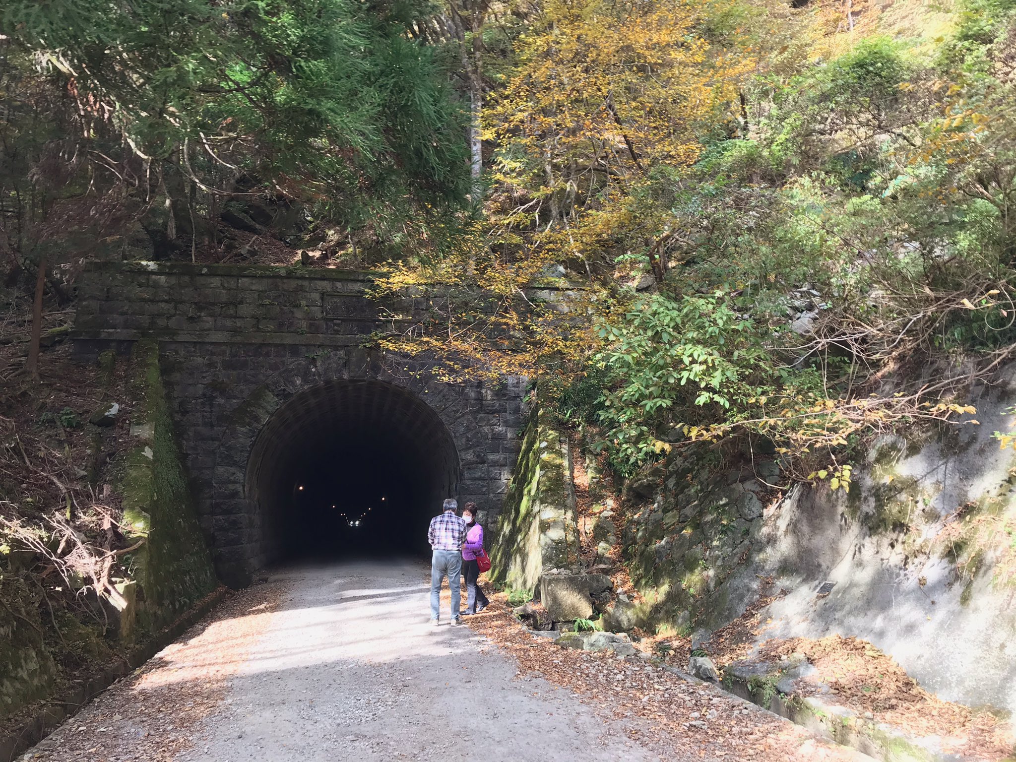 いるかチャンネル Ikc 天城山隧道 旧天城トンネル 伊豆市湯ヶ島の天城山隧道 旧天城トンネル の通称でも親しまれるこちらのトンネルは 川端康成 の小説 伊豆の踊子 のゆかりの地 紅葉時期はあたりが美しく色づきます まりりん