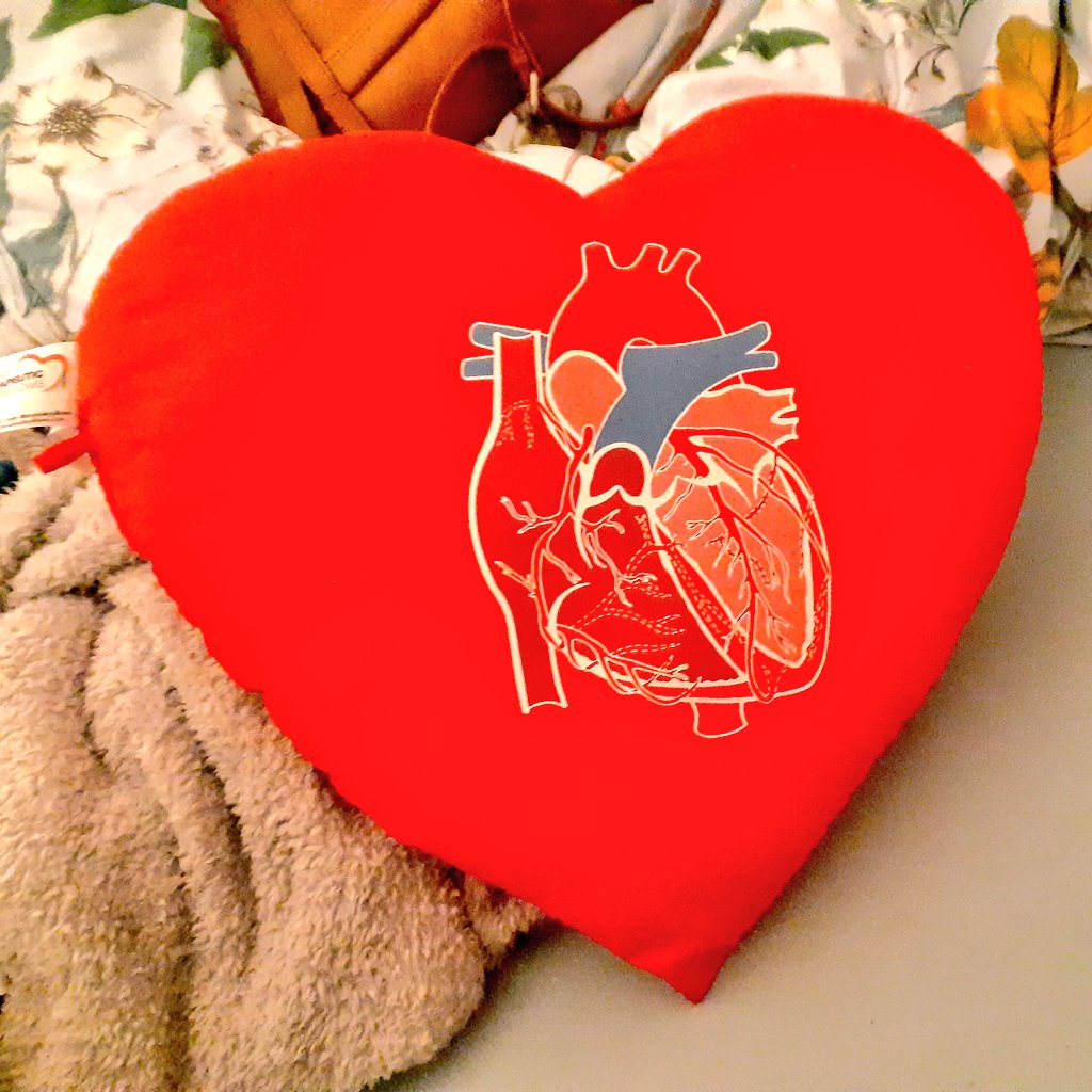 anatomically correct heart pillow (contemporary but also it kicks ass and I had to have it)