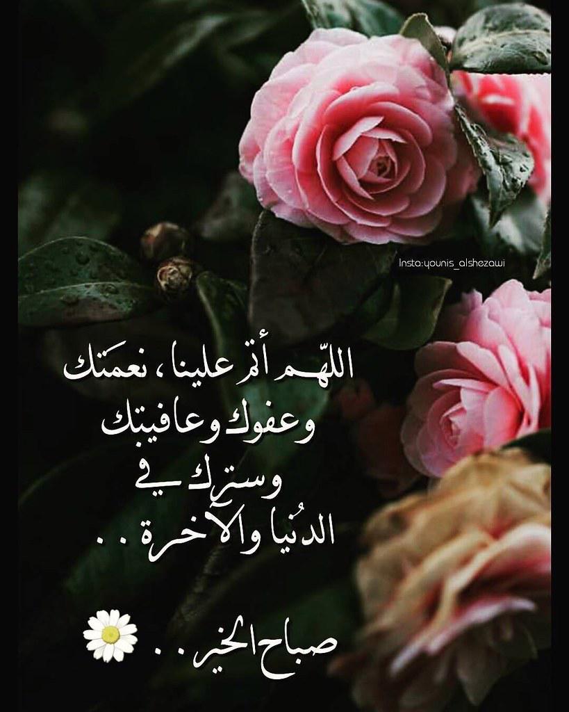 حوشم المنعي (@h96647723) on Twitter photo 