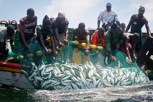 Mais nous avons avec nous des professionnels animés par le désir de bien faire », a déclaré le ministre des Pêches.