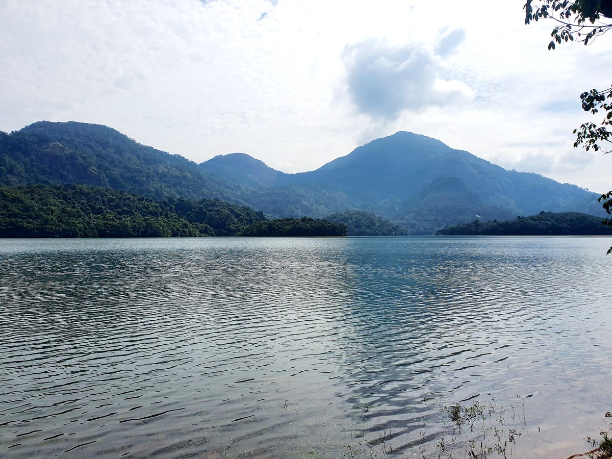 rejitweets's tweet photo. #ReportingTrip Amboori Mayam Perumalakadavu #WesternGhats https://t.co/Erd8Yu55Qq