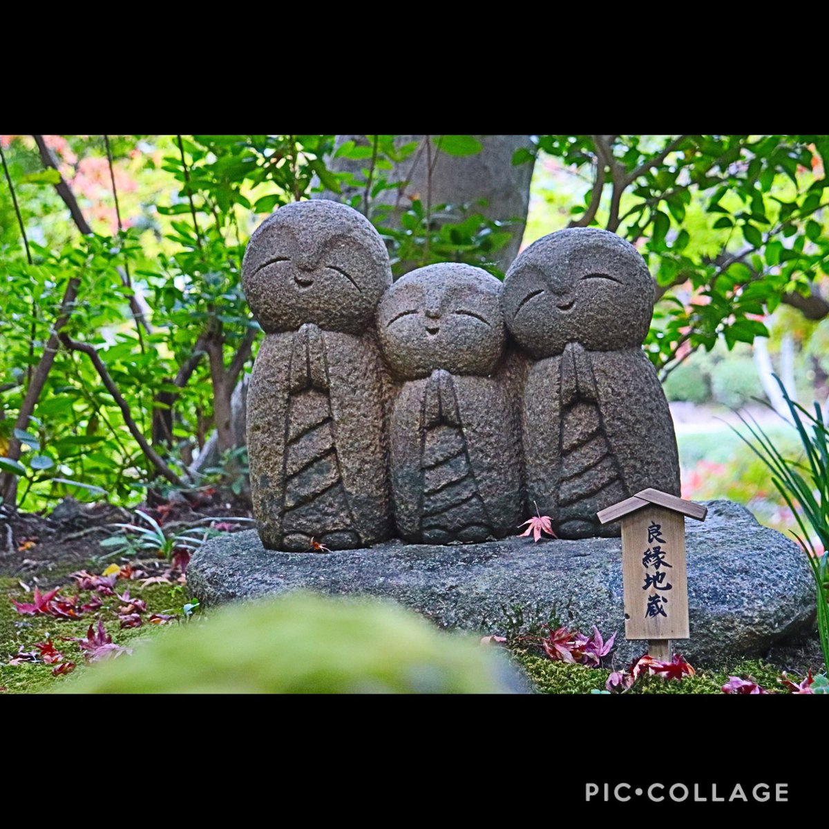 Akari16224049's tweet photo. 鎌倉カメラ散歩📷
#カメラ好きな人と繋がりたい #一眼レフ #カメラ女子 #鎌倉 #佐助稲荷神社 #報国寺 #長谷寺 #散歩 https://t.co/RKgIfqsFaH