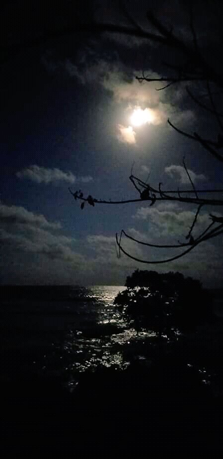 Thethir26908502's tweet photo. Instant stress reliever.
#Seaview #seaside #NaturePhotography #photography #nature #Streesreliever #FolloForFolloBack #follobackinstantly #Lovestay #music https://t.co/AtUEuARyKZ