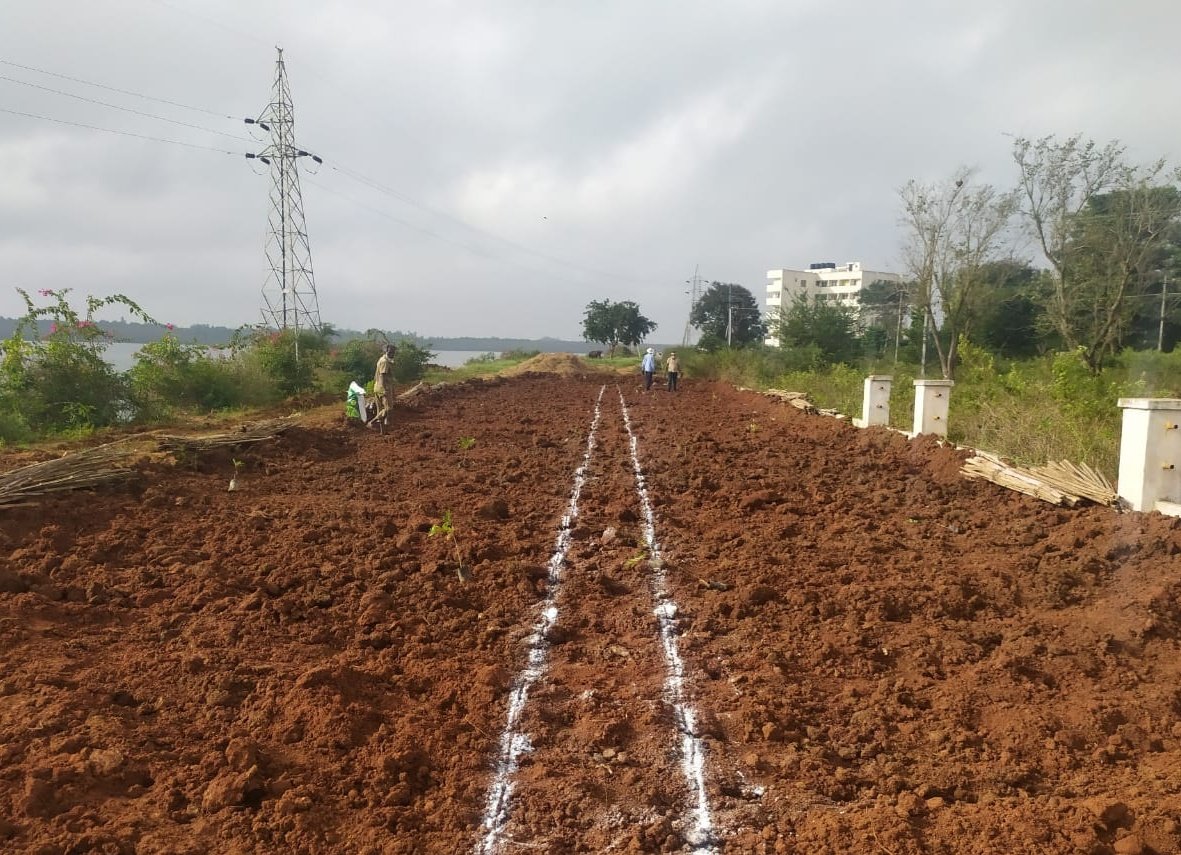 saytrees_ind's tweet photo. Completed 1000 saplings plantation at Hennegara Lake, Bengaluru. The only technology we have currently that can suck carbon out of the atmosphere at any kind of scale is growing trees. So forest restoration is essential. 
Thankyou @MahindraElctrc for supporting this initiative https://t.co/z4P9AacPG1