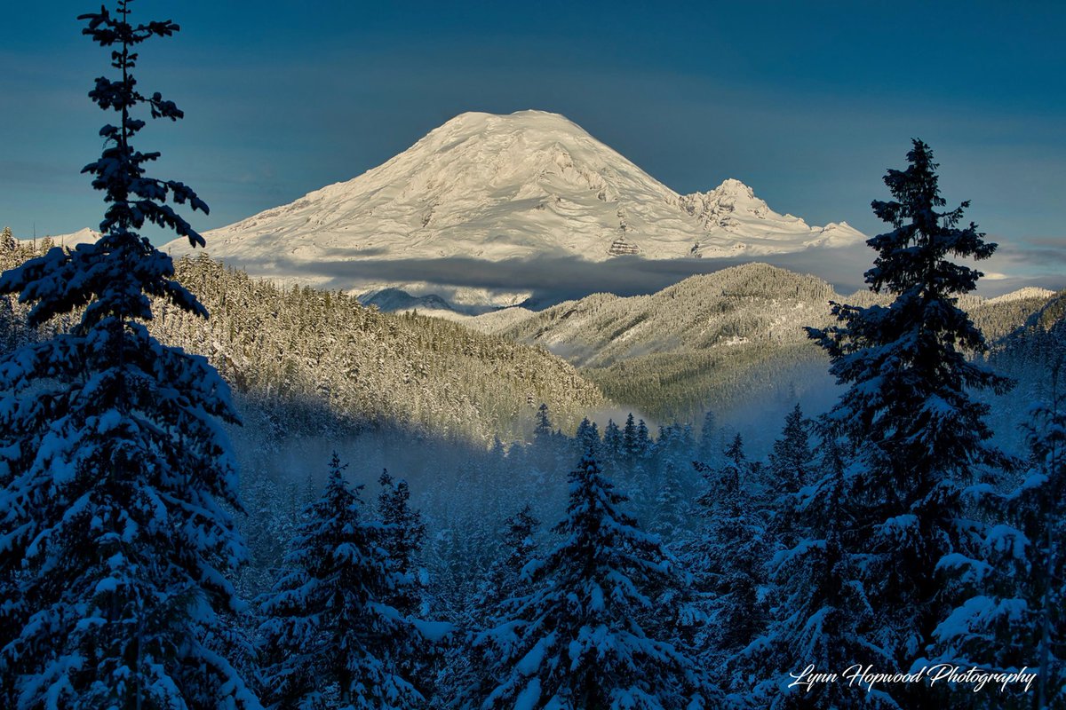 In The Pacific Northwest™ tweet media