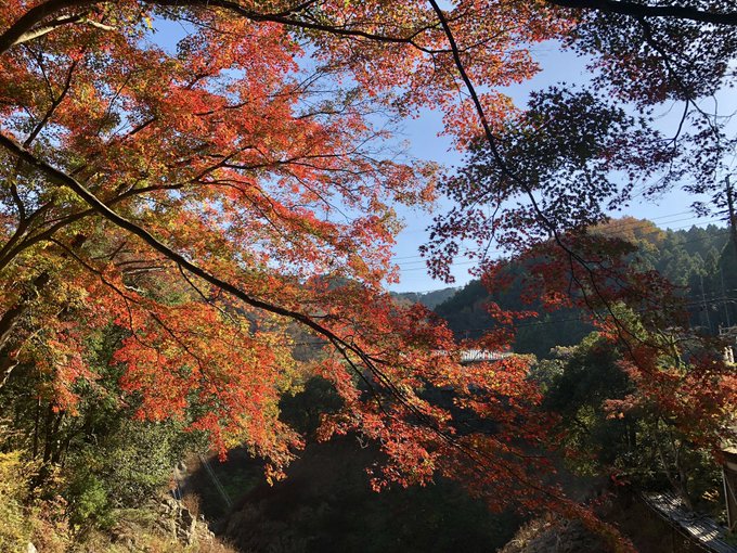 11 22 毛呂山町 鎌北湖の紅葉 桂木ゆず巡りツーリング ダー岩井のツーリング写真館へようこそ