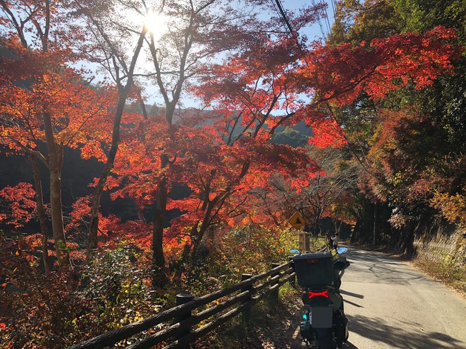 11 22 毛呂山町 鎌北湖の紅葉 桂木ゆず巡りツーリング ダー岩井のツーリング写真館 お出かけ日記