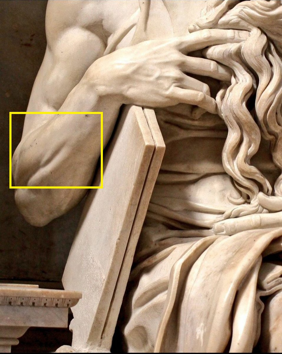 b_uzunkopru's tweet photo. Kolumuzda yalnızca serçe parmağımızı kaldırıldığımızda kasılan bir kas mevcutmuş. Musa heykelinde bu detay da atlanmamış.

Michelangelo'nun es geçmediği şu küçük ayrıntı beni klasik sanata bir kez daha hayran bıraktı. https://t.co/d5GEwbnRHK