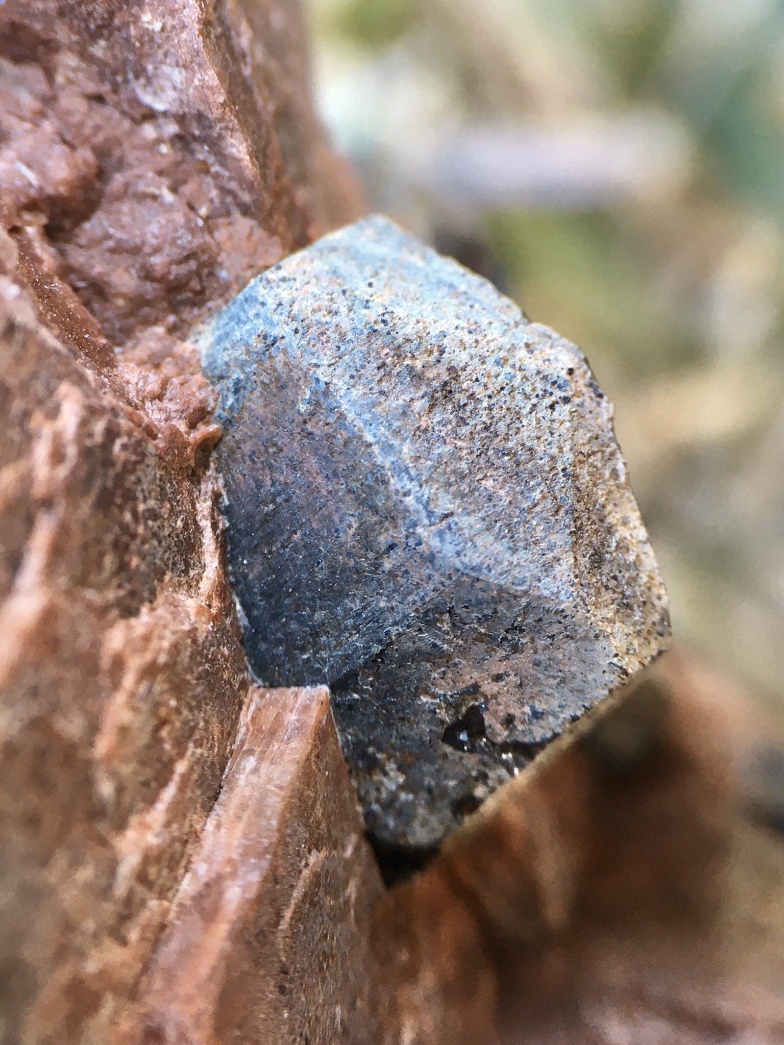 Rikora ユークセン石 Y Euxenite Y Beryl Pit Quadeville Lyndoch Twp Renfrew Co Ontario Canada 長石中の結晶を露出させたもの 内部の結晶構造は壊れている筈ですが 外形はこうして綺麗に保たれるんですね 表面はきな粉みたいなもので覆