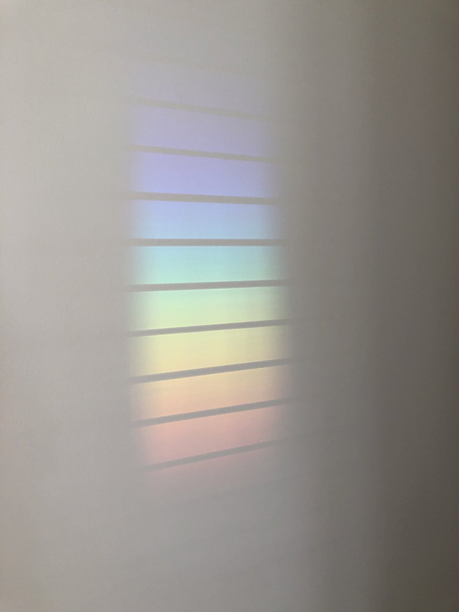 On our wall today... light reflecting off the pool cover and through our window.
