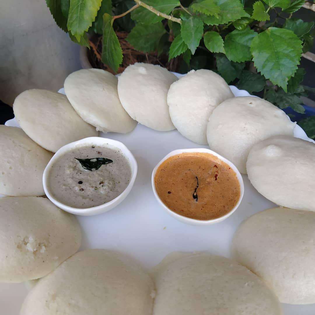 RefashionFood's tweet photo. Sunday Breakfast Moments Fluffy Idli with coconut chutney🥳 Like ❤️ and Follow 👉 @RefashionFood 
#foodblogger #food #foodie #foodielife #tastyfood #foodlover #yummy #delicious #favorite #idli #coconutchutney #idlichutney #tasty #morningmoments #love #twitter #delhi #Kerala https://t.co/Yhd25ijMSv