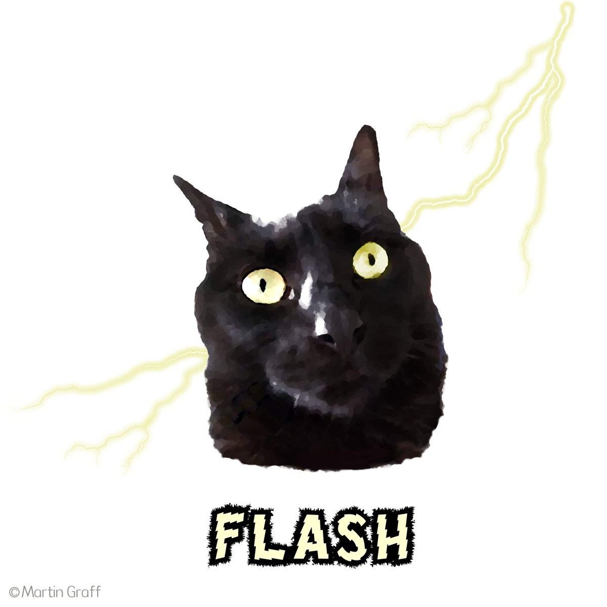 "Now Flash isn't going to university or continuing anyone's family name, but nurturing that sleekishly effervescent lifeforce to its full cuckoo-bananas potential is legacy enough for us..."

See the full s tory at: thefacezone.com/2020/11/father…

#redefiningfamily #flashthecat⚡️