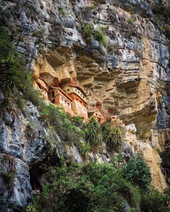 marketeampe's tweet photo. #VamosAVolver a explorar nuevas vistas de los mausoleos de Revash. 😉
Síguenos en Fab e Inst
⭐Viaje destacado de hoy: @daniel_lcr
Recuerda usar en tus fotos el hashtag #DeViajePorPeru y @deviajeporperu
#MausoleosDeRevash #Revash #SantoTomas #Luya #Amazonas #Peru #VisitPeru https://t.co/t7vSLs82Xb
