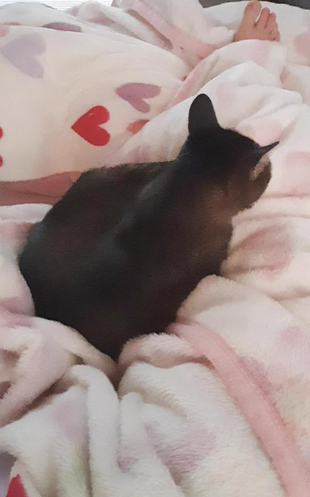 @vriGOpzvmMRE5Dv どっちなの？って時あります😅
入らんのかいw 