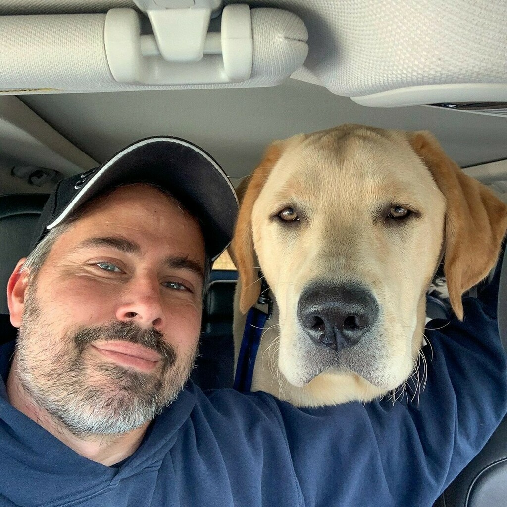 CacheGeoDog tweet picture