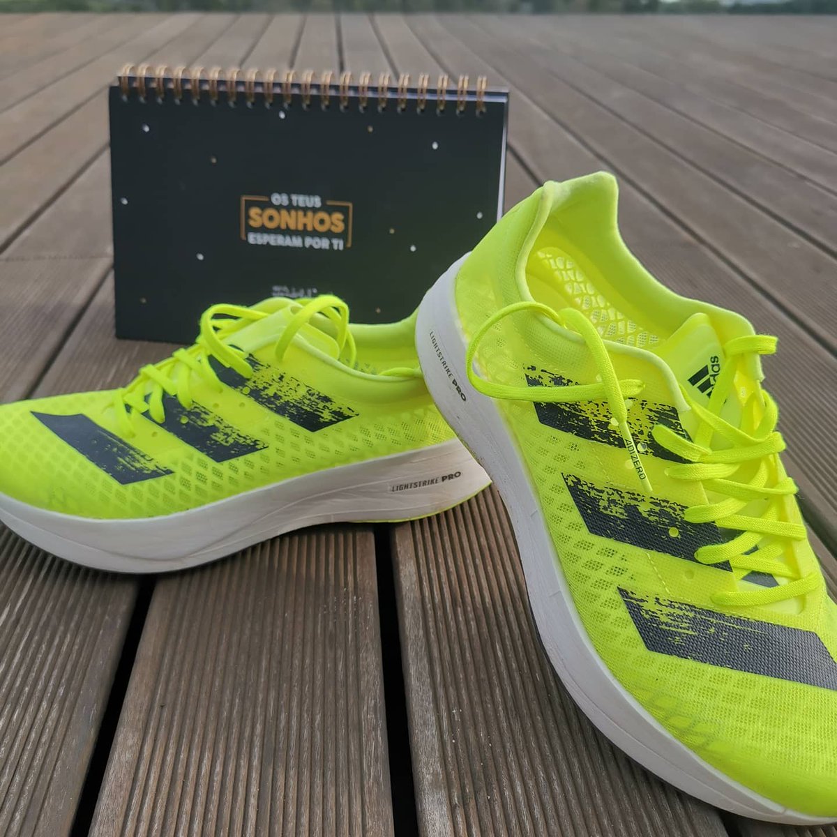 Lala_atleta85's tweet photo. O mês de Novembro quase a terminar, a preparação feita, entro na última semana rumo à @maratonvalencia. Muitos km's acumulados e a maior novidade desta preparação foram sem dúvida estas #ADIZEROADIOSPRO da @adidasrunning
#createdwithadidas https://t.co/1mnxpXQEYY