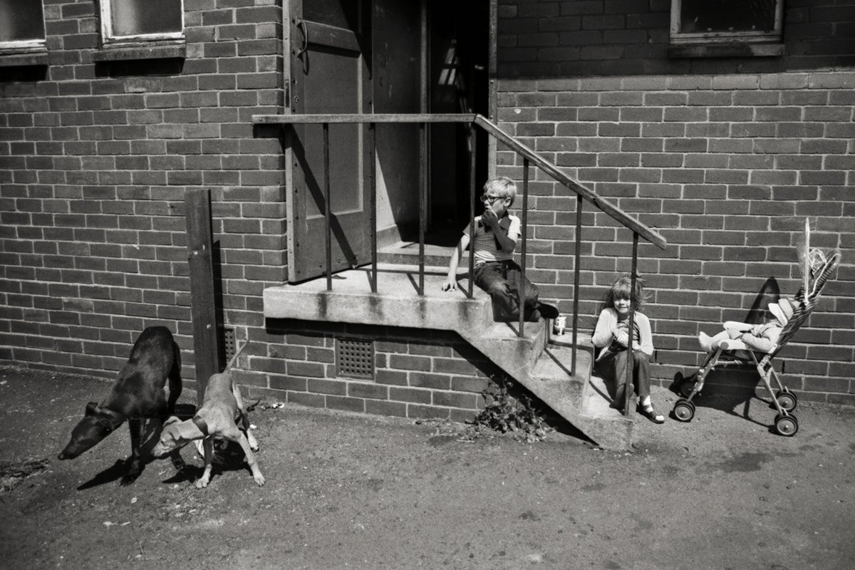 mikcritchlow's tweet photo. Whippet Kids - Ashington Northumberland 1982
I was always amazed to see so many youngsters on race days, not only helping with family dogs but also working as part of the structure &amp; logistics on race days. https://t.co/lqvRceYQzZ