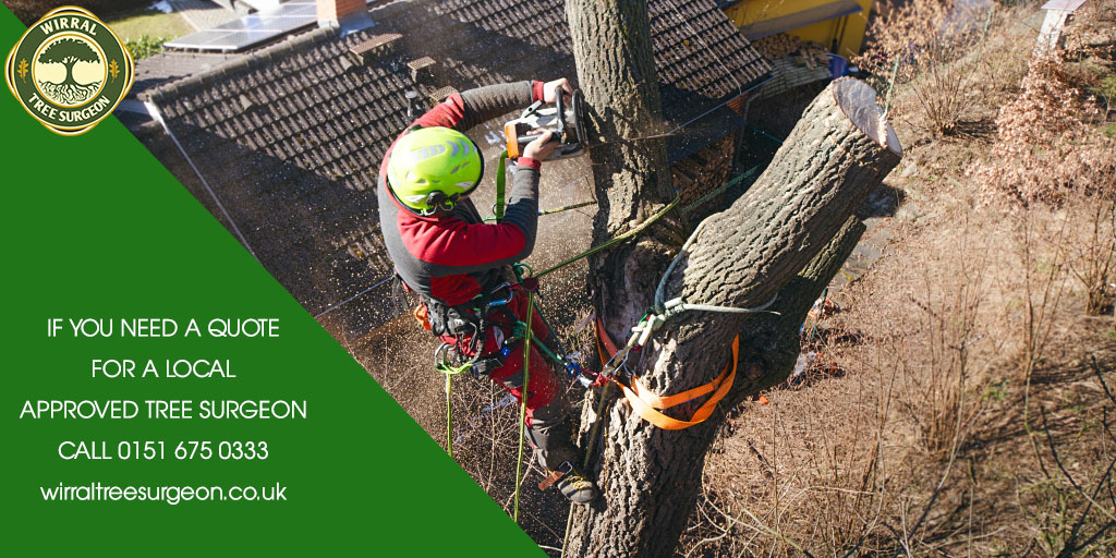 Wirral Tree Surgeon tweet media
