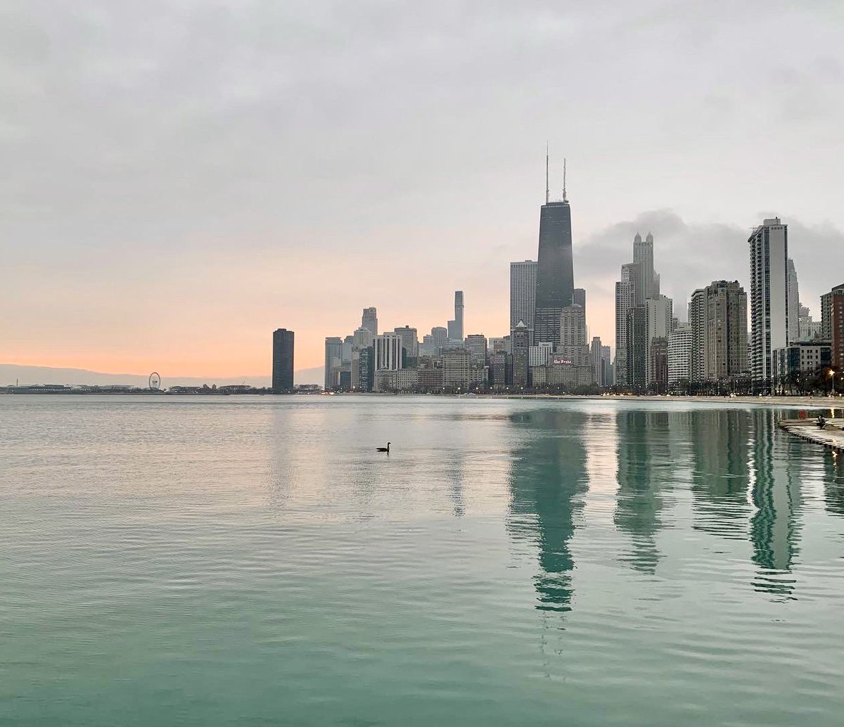 elmitte's tweet photo. A duck watching a late November sunrise over the lake Michigan, Chicago.

#VirtuallyReady for #RSNA2020 https://t.co/BS6o4UDbek