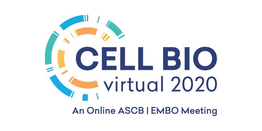 EMBO's tweet photo. Cell Bio Virtual 2020 is starting soon. Still figuring out if this is the meeting for you? Learn what Buzz Baum and Rebecca Heald, #cellbio2020  programme co-chairs, say about the ambition of the meeting: https://t.co/5YXDoJtAZD EMBO Members and their lab members join for free. https://t.co/u7c5O3M4Ii