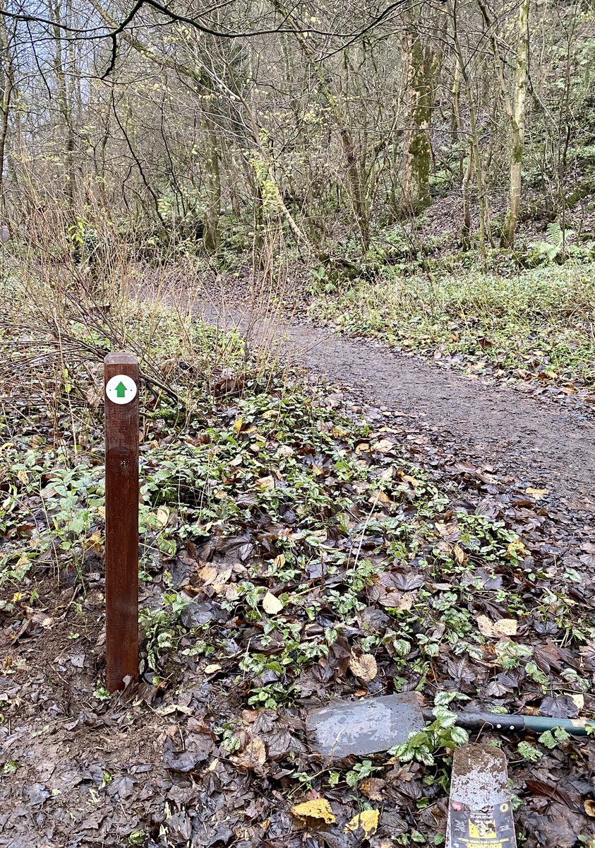 SouthAyrshirePI's tweet photo. Waymarker post added to the #smugglerstrail at @DundonaldCastle end of the route. Thanks to @southayrshire and Loans Dundonald &Troon community council for their support https://t.co/MUJCyD1PKB