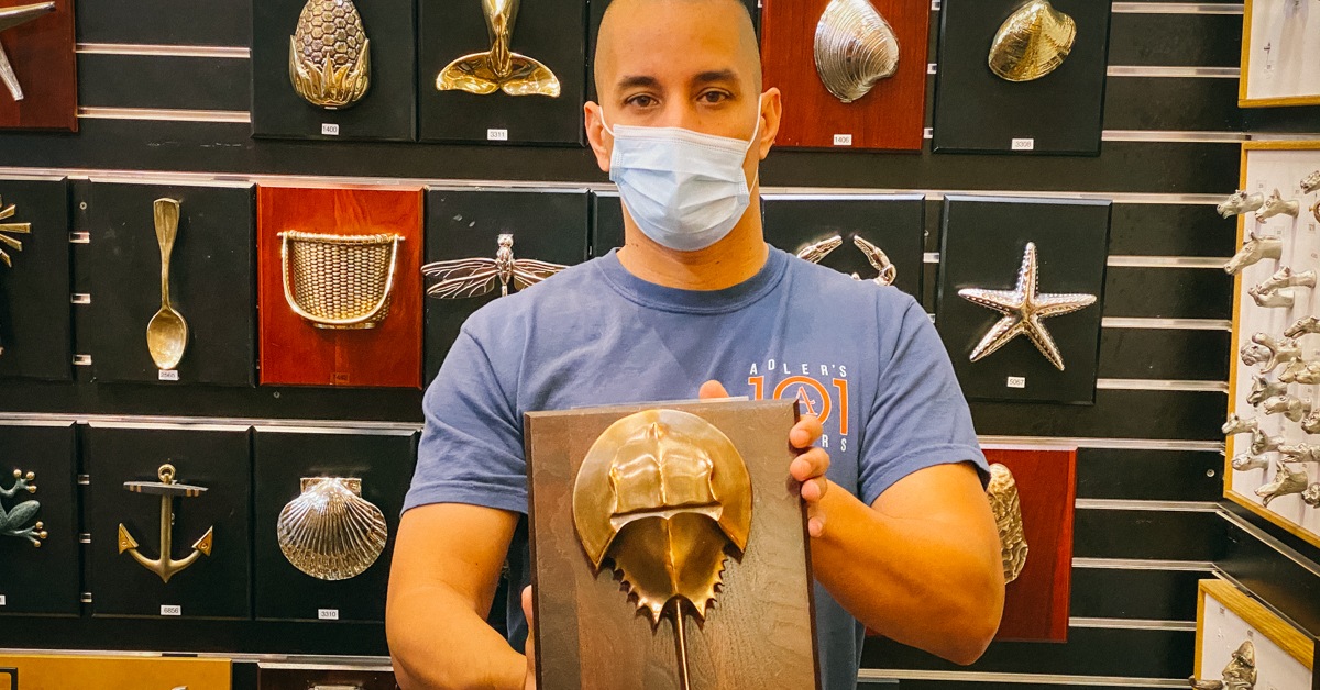 adlersri's tweet photo. We carry a wide range of decorative hardware, from traditional to horseshoe crab door knocker! 
.
.
#adlersri #adlersdesigncenter #adlershardware #designgoals #beautifulinteriors #decorativehardware #hardwarestore #familyowned #101years https://t.co/m7vAbi2AEE