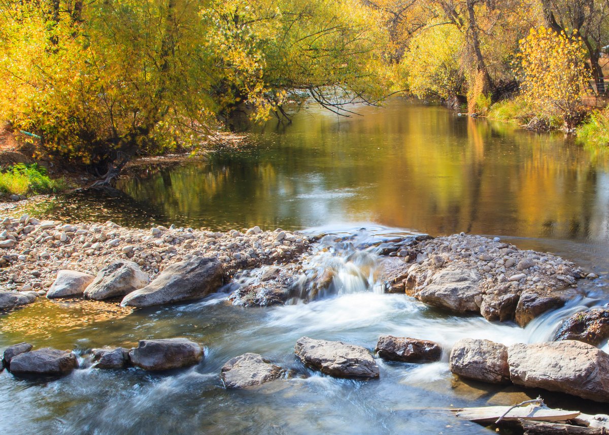 BCBS Wyoming tweet media