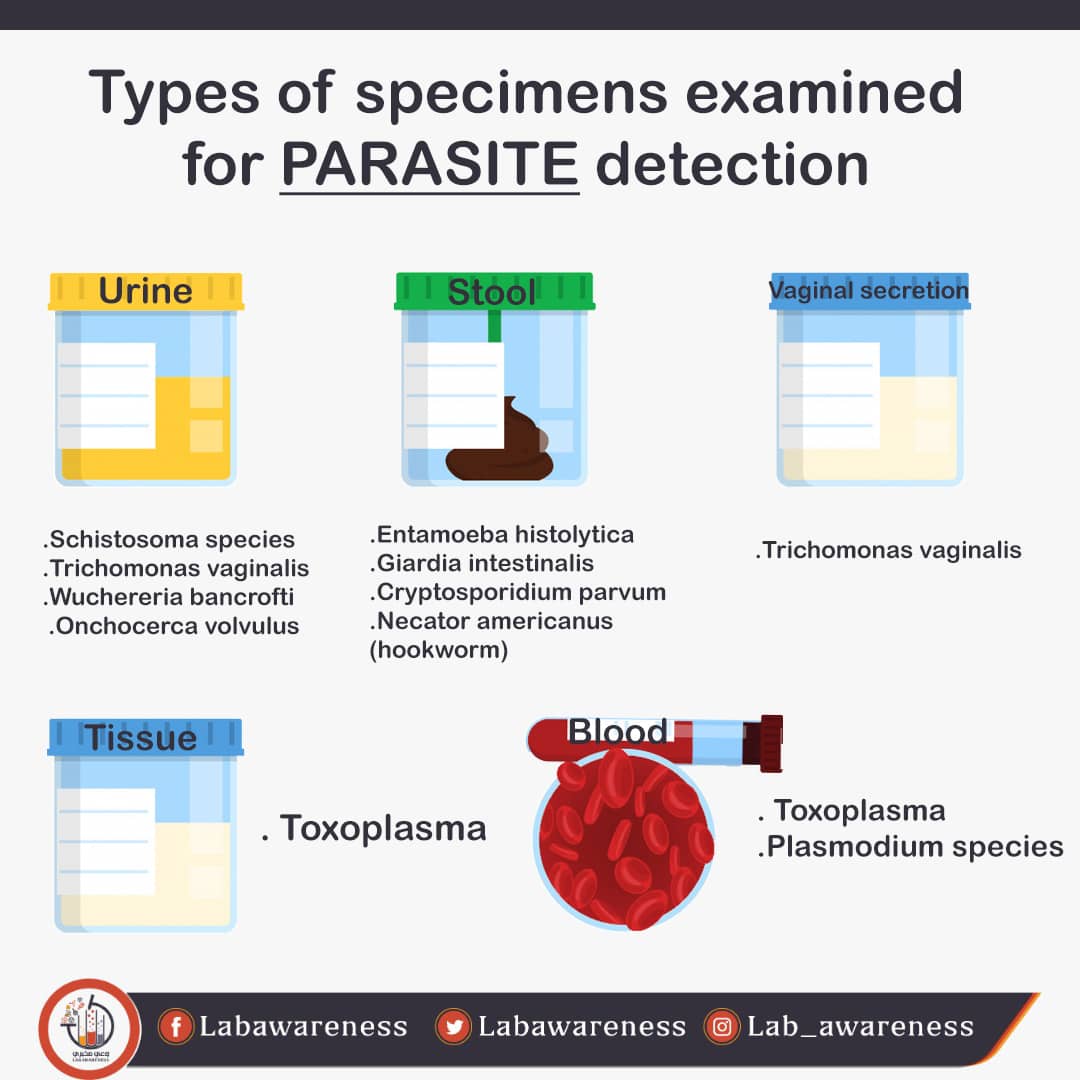وعي مخبري - Lab Awareness tweet media