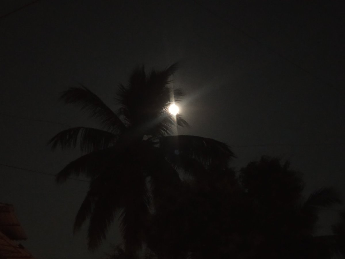 तू निरागस चंद्रमा.....🎶
#Selenophile
#FullMoon #Nature