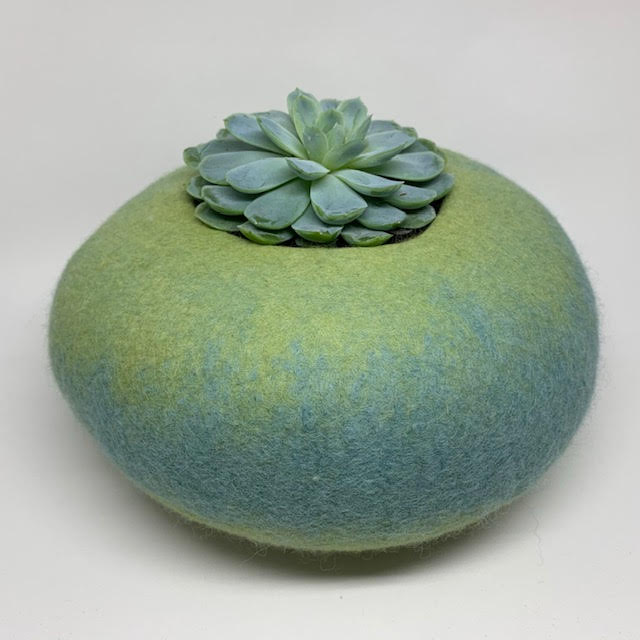 Fishslab tweet media