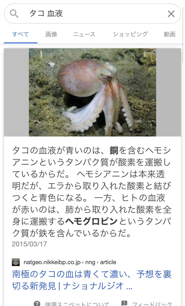 Takashi Suzuki 居酒屋でタコの血液の話を聞く 勉強になるな T Co Utcrjzvl33 Twitter