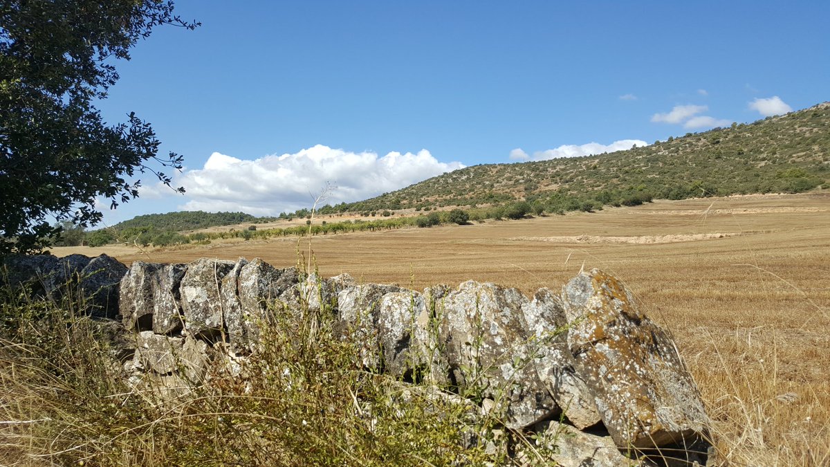 Joan Solé Mercadé tweet media