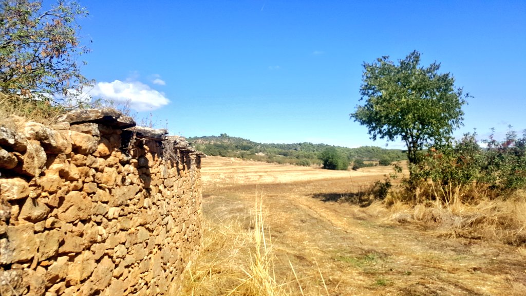 Joan Solé Mercadé tweet media