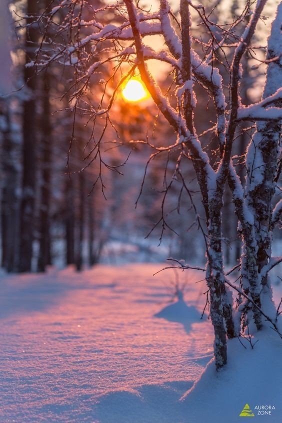 💦Nikita 🌼 tweet media