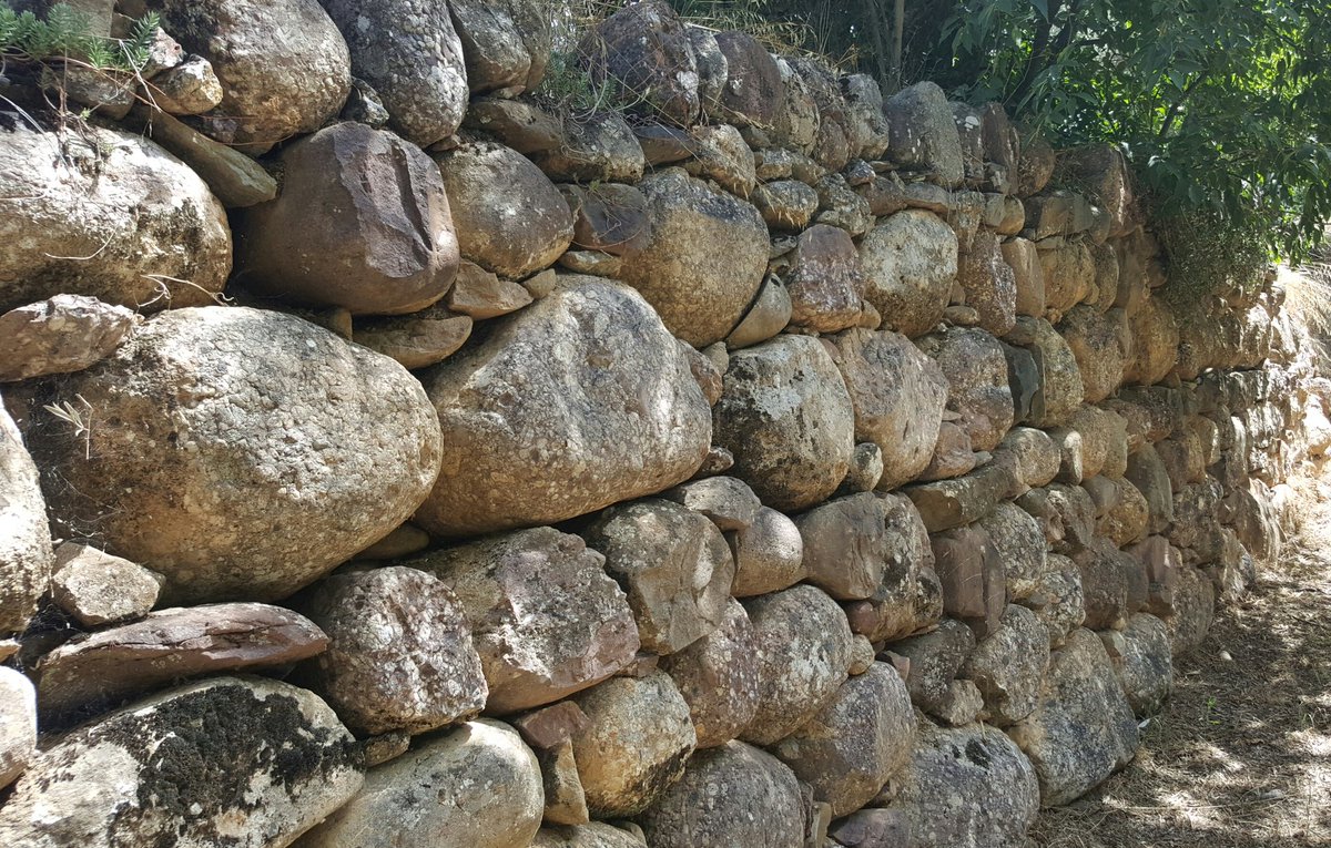 Joan Solé Mercadé tweet media