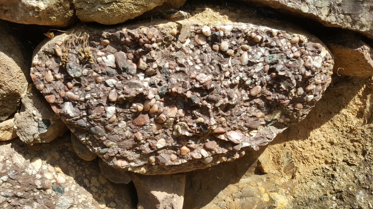 Joan Solé Mercadé tweet media