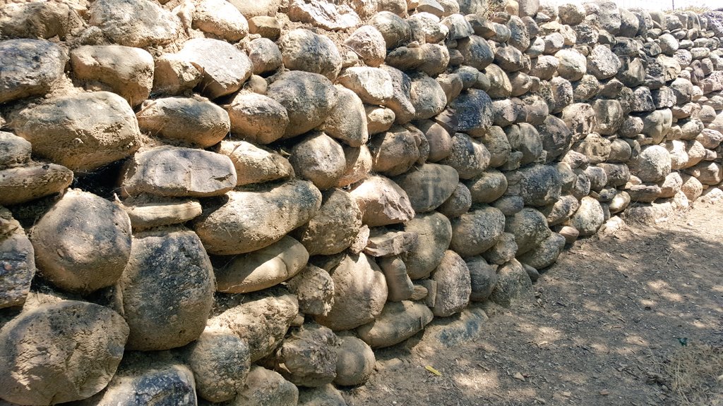 Joan Solé Mercadé tweet media