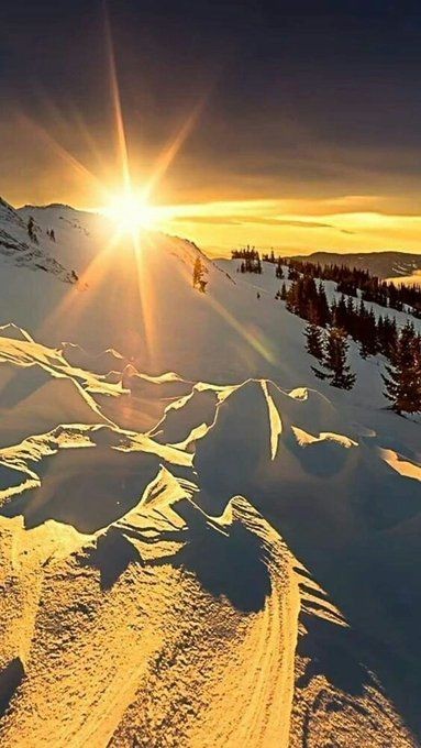 💦Nikita 🌼 tweet media