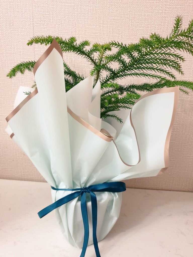 Ariun Enkhbayar (@ariunenkhbayar) on Twitter photo As we are in a full lockdown and it is ❄❄ winter in 🇲🇳 Mongolia, got the tiniest potted spruce 🌲 tree for the #EBRDtree challenge. Will plant properly when the season comes 🤗
Nominating next: <a href="/TS_Jenkins/">Tim Jenkins</a> <a href="/jaagii_jtrex/">jaagii</a> <a href="/GanchimegMi/">Ganchimeg Mijiddorj</a> As we are in a full lockdown and it is ❄❄ winter in 🇲🇳 Mongolia, got the tiniest potted spruce 🌲 tree for the #EBRDtree challenge. Will plant properly when the season comes 🤗
Nominating next: <a href="/TS_Jenkins/">Tim Jenkins</a> <a href="/jaagii_jtrex/">jaagii</a> <a href="/GanchimegMi/">Ganchimeg Mijiddorj</a>