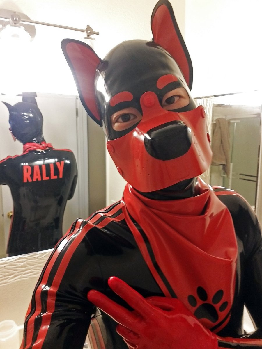 Pup Rally on Twitter: 