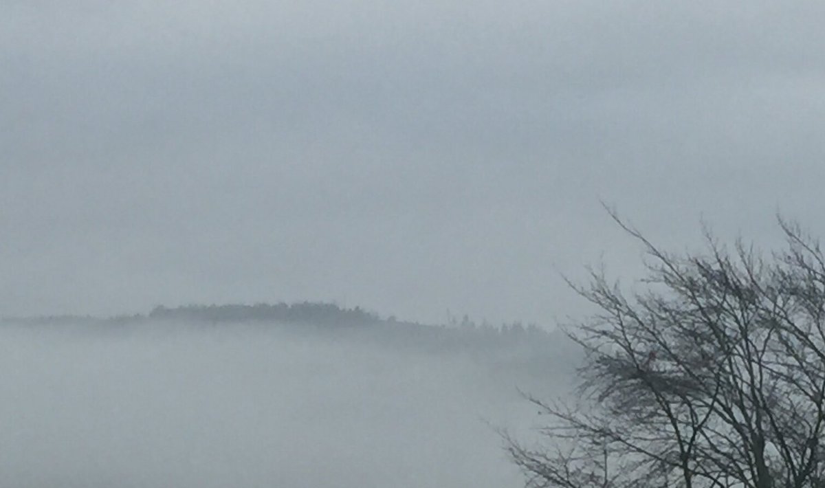 jabit's tweet photo. Comeragh Hill this morning #Marlfield #Clonmel https://t.co/fNJNOjWVmm