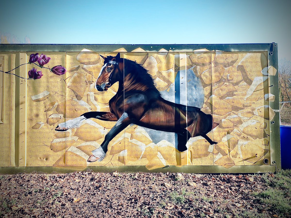 helloborisbobz's tweet photo. « HORSE » 

@GraffitiKINGS @GraffitiArtMag #metz #horse #Nancy #ArtistOnTwitter https://t.co/emlEWm7NTy