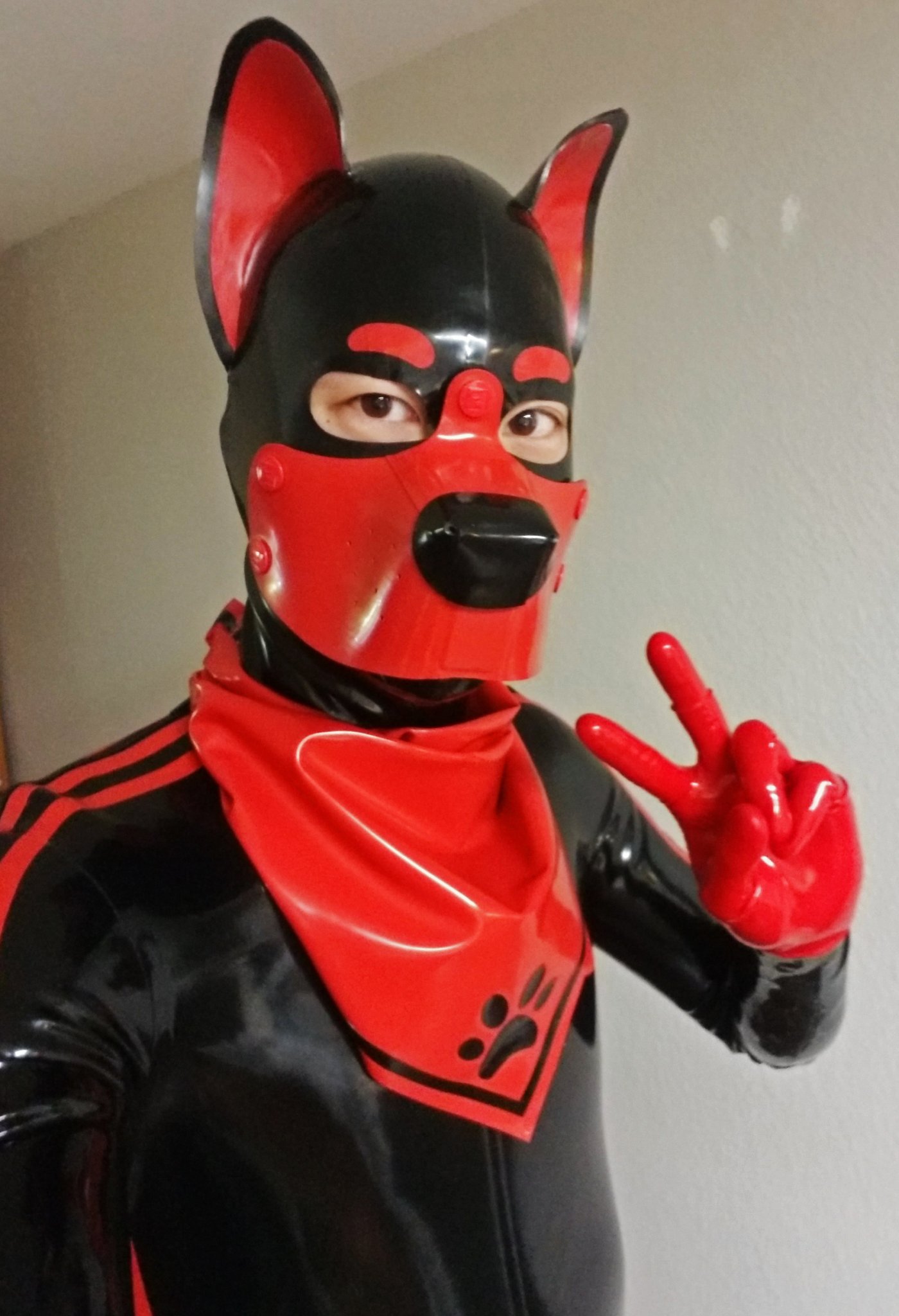 Pup Rally on Twitter: 