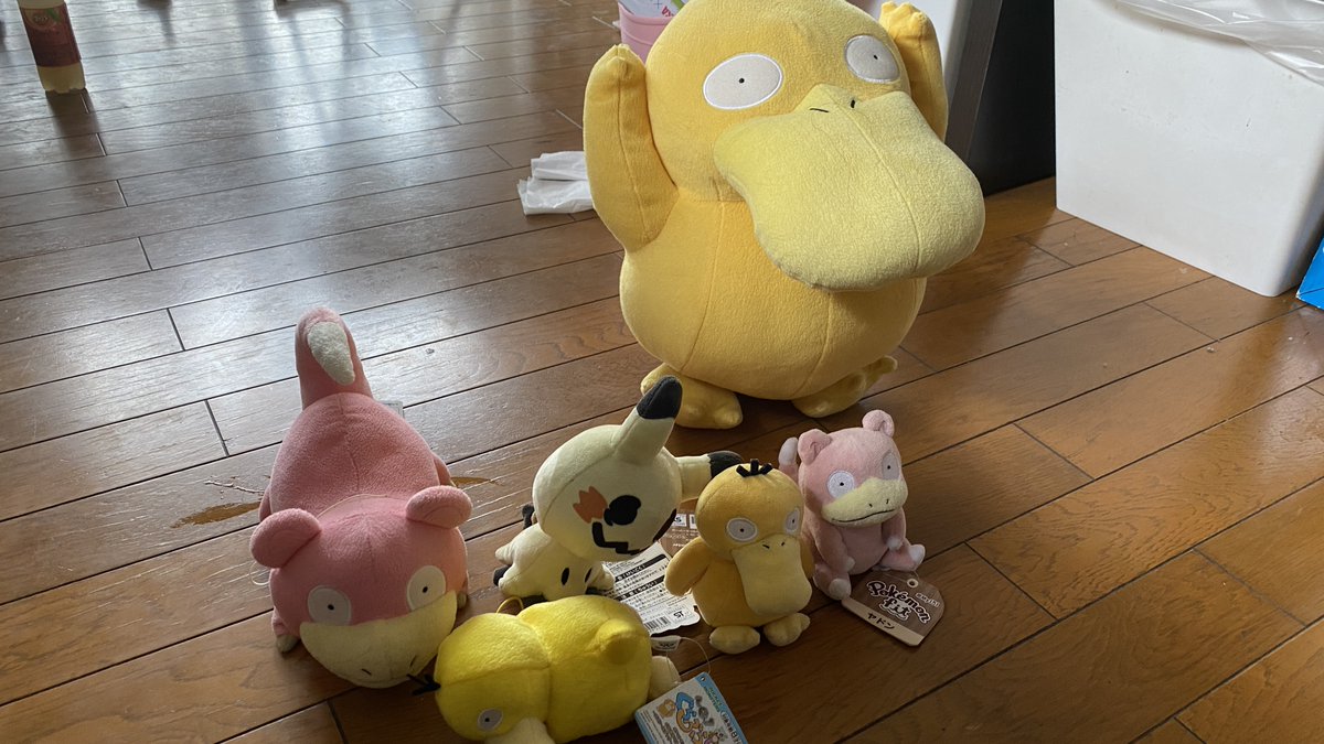 コダックとヤドン コダックとヤドン 感染症対策 T Co V9gvf58or7 Via Youtube ムチュールが我が家の感染症対策についてお話します コダックとヤドンは感染症対策ができているのか コダックとヤドンののんびりした生活にも少し変化が出てきた