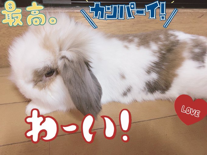 Twitterのコスプレ画像15