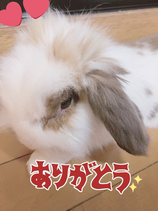 Twitterのコスプレ画像14