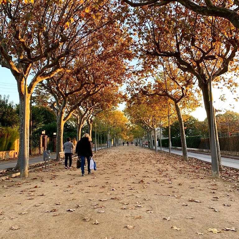 CineAlhambra's tweet photo. Un #Diumenge per gaudir de #laGarriga!
#Cinema #MercatNadal #BarrideDalt #Passeig #Patrimoni
#CULTURA https://t.co/J44ZvHGW5J