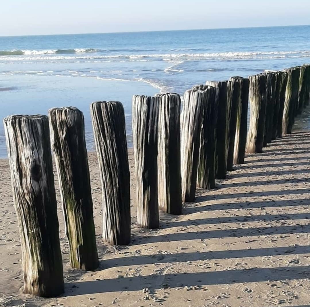 nickydepasse's tweet photo. Un jour.
Une journée
Quelques heures ...
Juste assez pour se mourir d'air frais.
#Domburg
#zelande https://t.co/cW64c6htyh